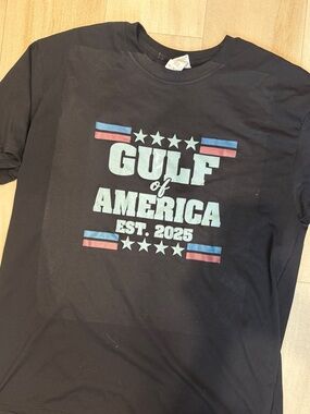 Gildan Black Tee with Light Blue and Red Gulf of America Print